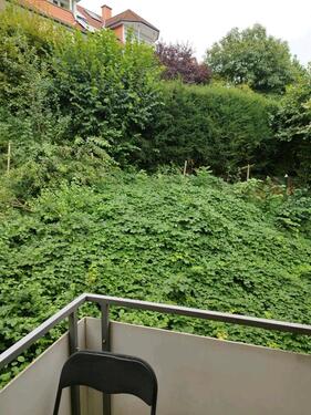 Foto - Etagenwohnung zum Kaufen in Göttingen