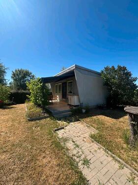 Foto - Grundstück zur Miete in Bitterfeld-Wolfen