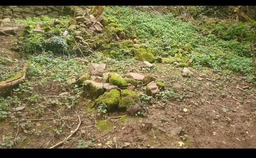 Foto - Grundst&uuml;ck zur Miete in Heidelberg