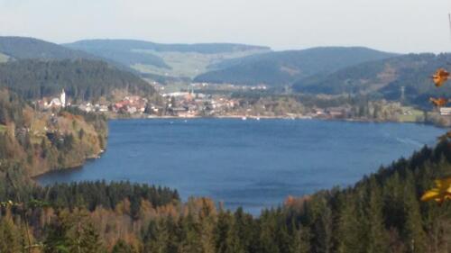 Foto - 