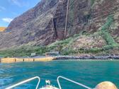 Foto - Landhaus auf Madeira zu vermieten
