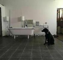 (WOHN-) ATELIER STUDIO LOFT CO-WORKING für Kreative - Kernen im Remstal