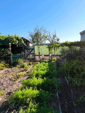 Foto - Einfamilienhaus zum Kaufen in Ahrensfelde