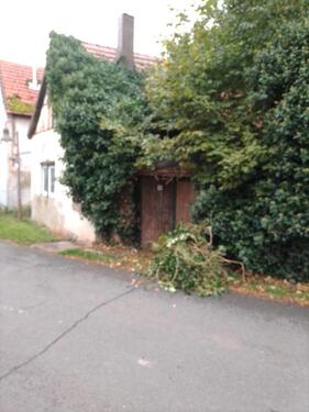 Foto - 3 Zimmer Einfamilienhaus zum Kaufen in Bad Langensalza