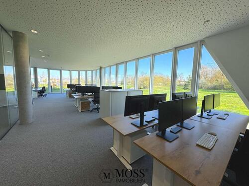 Foto - andere zur Miete in Eschbach