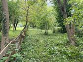 Foto - Freizeitgrundstück, Garten in Brohl