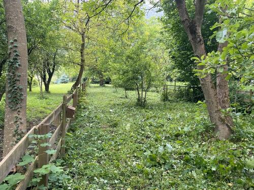 Foto - Freizeitgrundstück, Garten in Brohl