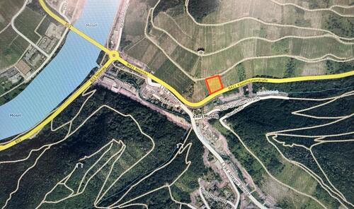 Foto - Weinberg Kreuzlay „Zeller Schwarze Katz' Chardonnay Steillage