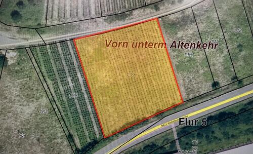 Foto - Grundstück in Zell (Mosel)