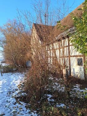 Foto - Bauernhaus, Landhaus in Kalletal zum Kaufen