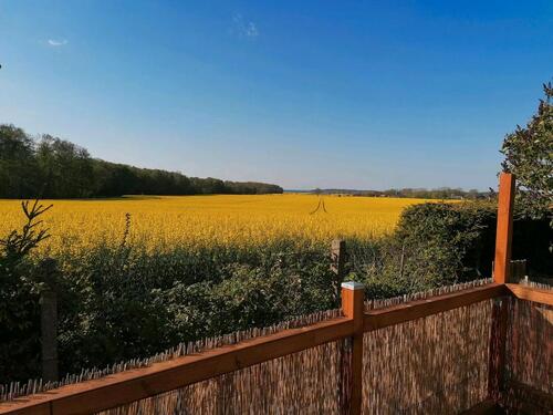 Foto - Grundst&uuml;ck zur Miete in Greifswald