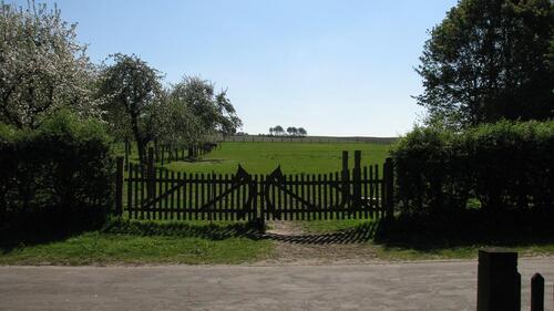Foto - 