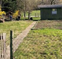 Garten Gartengrundstück Freizeitgrundstück - Grünberg