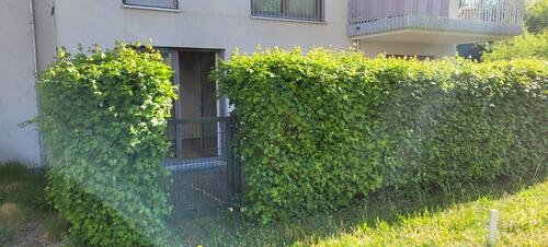 Foto - Etagenwohnung zur Miete in München