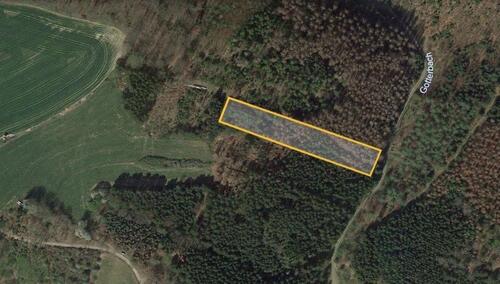 Foto - Waldgrundstück mit Bachlauf ideal für Bushcrafting