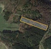 Waldgrundstück mit Bachlauf ideal für Bushcrafting - Wissen