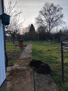 Foto - Grundst&uuml;ck in Hungen