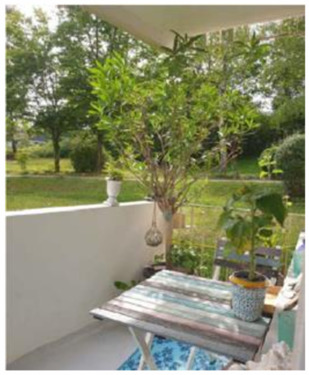 Foto - Etagenwohnung zur Miete in Würzburg