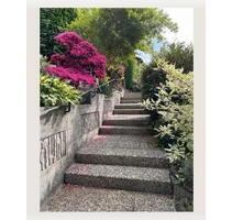 2,5 Zimmer Mietwohnug - 600,00 EUR Kaltmiete, ca.  75,00 m² in Lemberg (PLZ: 66969)