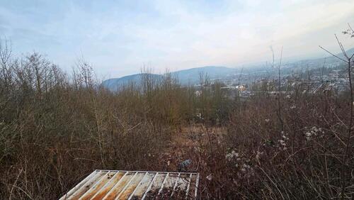 Foto - riesiges Gartengrundstück Pachtgarten ohne Regeln