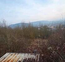 riesiges Gartengrundstück Pachtgarten ohne Regeln - Jena Burgau