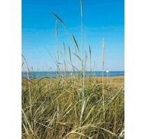 Ostern, Pfingsten Ferienwohnung Nordsse Friesland - Kamen