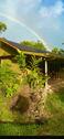 Foto - Haus mit Grundstück in Costa Rica