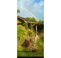 Haus mit Grundstück in Costa Rica - Oldenburg in Holstein