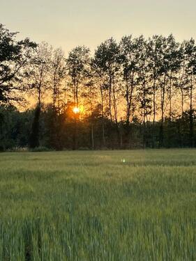 Foto - andere in Ochtrup zur Miete