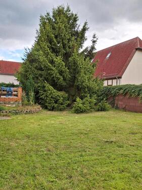 Foto - Einfamilienhaus in Muldestausee zum Kaufen