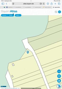 Foto - Bewaldetes Grundstück - für Bienen oder eigene Pläne