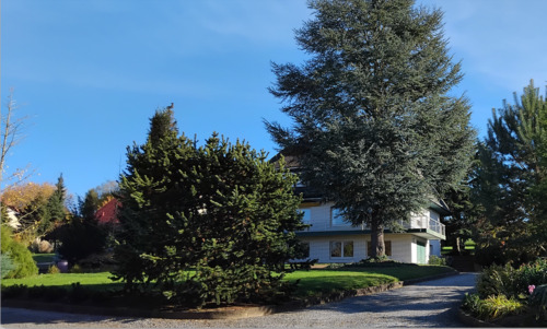 Foto - Ländliches Anwesen - 5 Fahrminuten Bahnhof Höxter