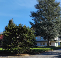 Ländliches Anwesen - 5 Fahrminuten Bahnhof Höxter