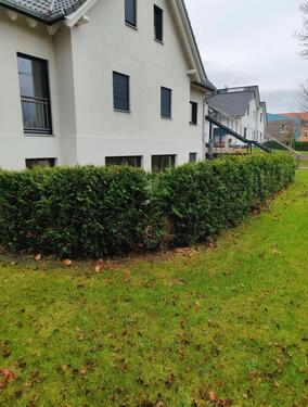 Foto - Светлая современная 3-комнатная квартира в Лотте — свободна сразу