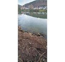 Freizeitgrundstück direkt am Neckar zu vermieten! TOP-LAGE! - Heidelberg Peterstal