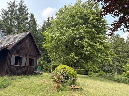 Foto - Einfamilienhaus in Monschau zum Kaufen
