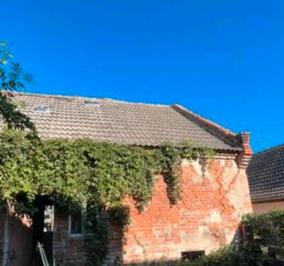 Foto - 4 Zimmer Einfamilienhaus in Leipzig