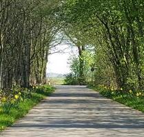 Freie Parzellen auf Dauercampingplatz für Mobilheime - Coesfeld