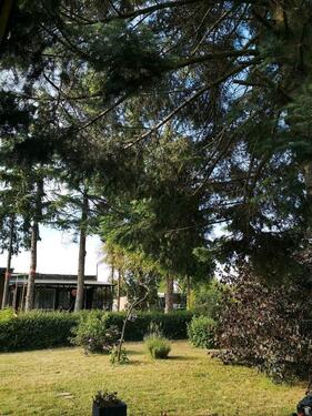 Foto - Grundst&uuml;ck zur Miete in Zeitz