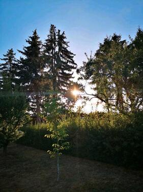 Foto - Grundst&uuml;ck in Zeitz