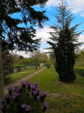 Foto - Grundst&uuml;ck in Zeitz zur Miete
