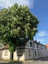 Foto - Einfamilienhaus in Herbsleben zum Kaufen