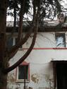 Foto - 6 Zimmer Einfamilienhaus zum Kaufen in Erxleben
