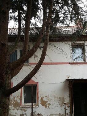 Foto - 6 Zimmer Einfamilienhaus zum Kaufen in Erxleben