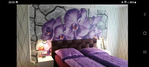 Foto - 3 Zimmer Erdgeschoßwohnung in Hannover