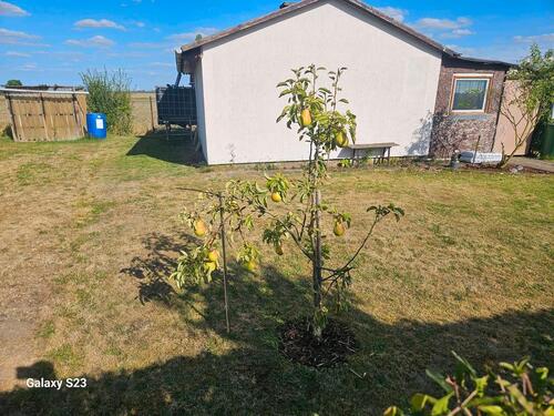 Foto - Pachtgarten - 2.000,00&nbsp;EUR Kaltmiete, ca.&nbsp; 0,00&nbsp;m&sup2;