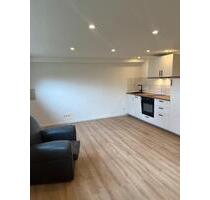 1 Zimmer Wohnung, Erstbezug nach Sanierung, Teilmöbliert - Pliezhausen