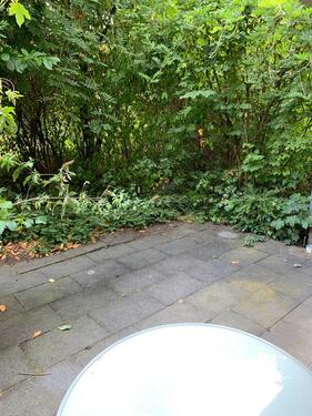 Foto - 1 Zimmer Terrassenwohnung in Solingen