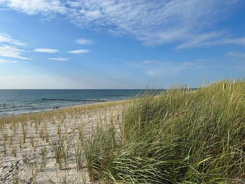 Foto - Ferienwohnung auf dem Ponyhof in M-V