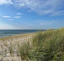 Ferienwohnung auf dem Ponyhof in M-V - Löbnitz